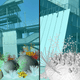 The regular corals (left) versus the bleached corals (right)